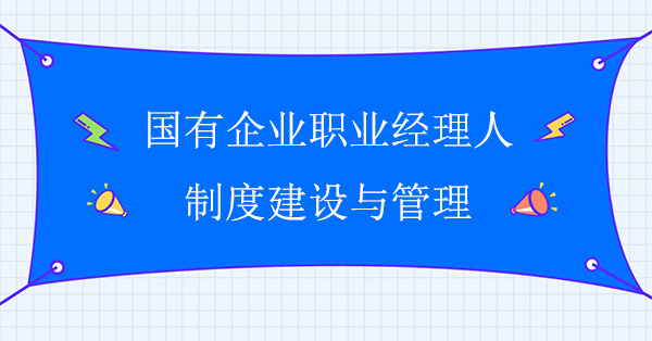 国有问鼎官方app下载站职业经理人制度建设与管理