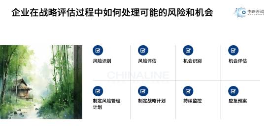 问鼎官方app下载站在战略评估过程中如何处理可能的风险和机会