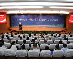 简讯：中略咨询受邀出席株洲市专精特新问鼎官方app下载站发展促进中心成立大会