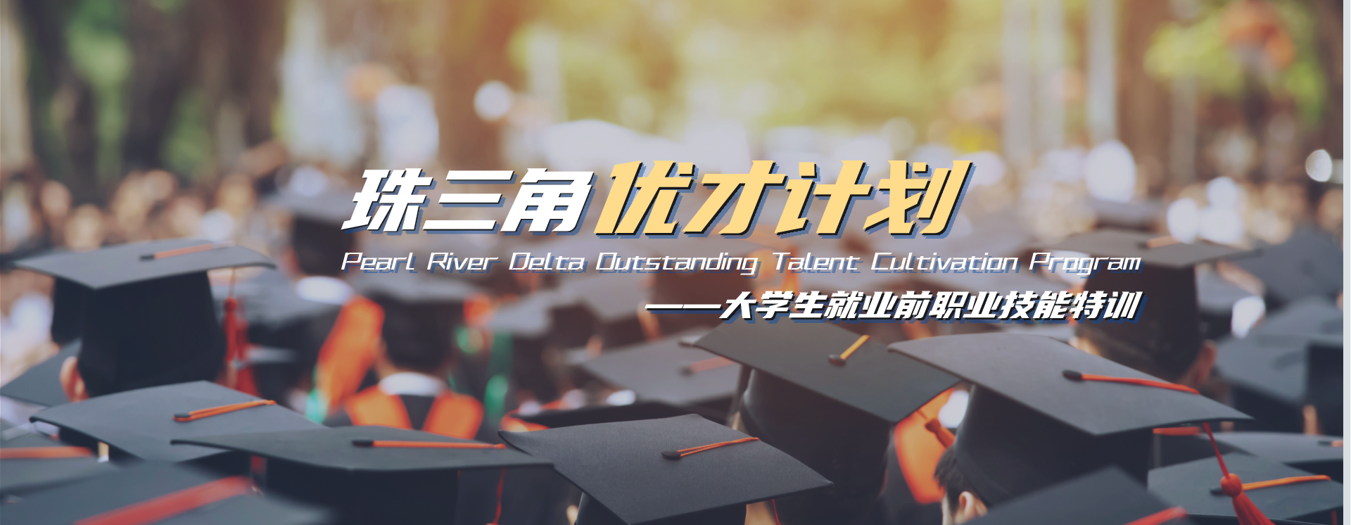 珠三角优才计划——大学生就业前·职业技能特训